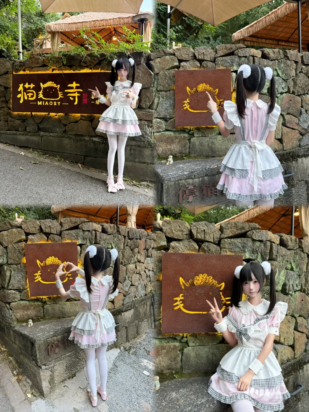 猫猫寺动作参考喵